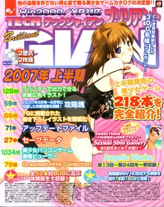 TECH GIAN BRILLIANT 2007年 上半期